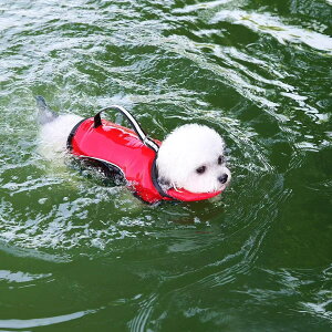 犬の服ライフジャケット泳ぎライフジャケット中型犬ライフジャケット大型犬ライフジャケット