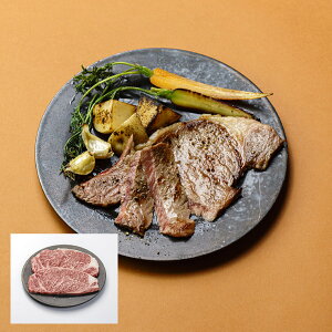 _˃r[t T[CXe[L 91131yzy[J[z MtgZbgHו 񂹃O a oYj j j o j Ԃ Cj v