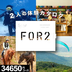 【体験ギフト】ペア FOR2ギフト（BROWN）SOW EXPERIENCE【送料無料】カップル プレゼント 結婚記念日 誕生日 ソウエクスペリエンス 体験ギフト ペア 結婚祝い 内祝い お返し お祝い 退職祝い 体験型ギフト 両親 夫婦 新婚 イベント景品 敬老の日