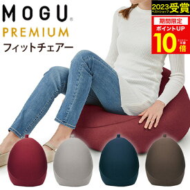 ギフト MOGU（モグ）プレミアム フィットチェアーMOGU正規品 MOGUパウダービーズクッション【送料無料】在宅勤務 在宅ワーク 大きいサイズのクッション 実用的 誕生日 人気 プレゼント お得 お歳暮 冬ギフト