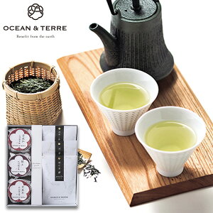 OCEAN&TERRE I[Ve[ Premium IB썂~&{ZbgE MtgZbgHו lߍ킹 a oYj j j o j Ԃ Cj v[g 