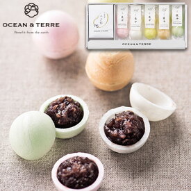 OCEAN&TERRE オーシャンテール 手作り 最中 ギフトセット☆食べ物 詰め合わせ 誕生日 出産内祝い 結婚内祝い 出産祝い 結婚祝い 引き出物 お祝い お返し 香典返し 快気祝い プレゼント お供え お彼岸 冬ギフト バレンタイン