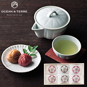 OCEAN&TERRE I[Ve[ Premium IB썂~ 6 ؔ MtgZbgHו lߍ킹 a oYj j oYj j o j Ԃ TԂ Cj v