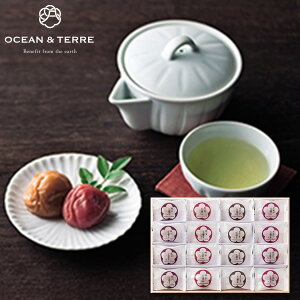 OCEAN&TERRE I[Ve[ Premium IB썂~ 16 ؔ MtgZbgHו lߍ킹 a oYj j oYj j o j Ԃ TԂ Cj 