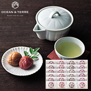 OCEAN&TERRE I[Ve[ Premium IB썂~ 24 ؔyz MtgZbg Hi lߍ킹 a oYj j oYj j o j Ԃ TԂ 