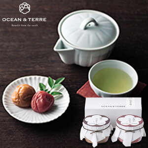 OCEAN&TERRE I[Ve[ Premium IB썂~ZbgA MtgZbgHו lߍ킹 a oYj j j o j Ԃ Cj v[g  