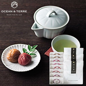 OCEAN&TERRE I[Ve[ Premium IB썂~&{ZbgF MtgZbgHו lߍ킹 a oYj j j o j Ԃ Cj v[g 