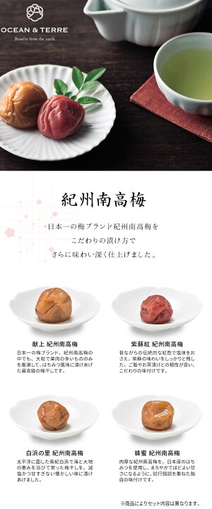 楽天市場】OCEAN&TERRE オーシャンテール Premium 紀州南高梅&日本茶 