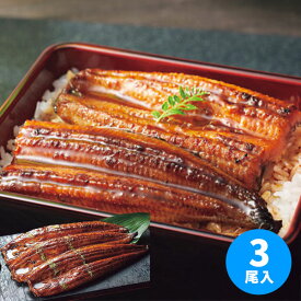 大森淡水 国産うなぎ蒲焼(長焼)(3尾)【送料無料】【冷凍】【直送】 ギフトセット☆食べ物 鰻 国産 お取り寄せグルメ プレゼント 人気 お歳暮 冬ギフト