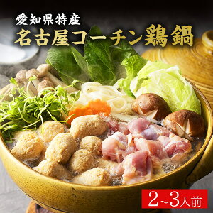 yzm ÉR[`{ (2`3lO)yzZbg a Mtg  a瑕 lߍ킹 oYj j j Ԃ TԂ Cj j v[g 2025 