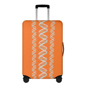 ȃN[|  DNAy10z(X[cP[XJo[) X[cP[XJo[ jZbNX ANZT[ A[g IW Jt DNA  点 `Ae[v charamaru 