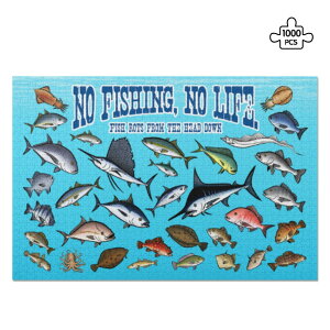 ȃN[|  KAISUIGYO_C_PZ(WO\[pY1000s[X) WO\[pY1000s[X jZbNX ANZT[ S  C ނ Cނ ނ C AICJ }n[ VMX