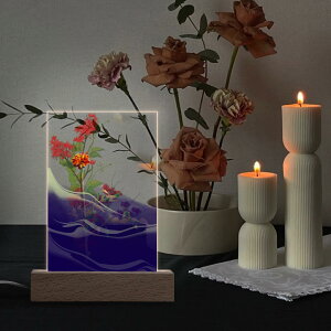 ȃN[|  nOht[iZj(ANX^hLEDCgt) ANX^hLEDCgt jZbNX ANZT[ A[g  A  Flower botanical u[P