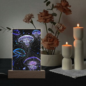 ȃN[|  IVȃNQA[g ANX^hLEDCgt jZbNX ANZT[ A[g NQ originalA[g zI megu