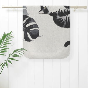 ȃN[|  nGXeglR(tFCX^I) tFCX^I jZbNX z[fR[V  L Mtg 蕨 ig leojiro24 