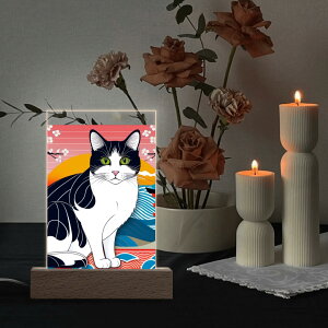 ȃN[|   [ gwiɂDȔL(ANX^hLEDCgt) ANX^hLEDCgt jZbNX ANZT[  L Mtg 蕨 leojiro24