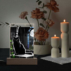 ȃN[|  SVbNubNLbg - ACr[Ɖe(ANX^hLEDCgt) ANX^hLEDCgt jZbNX ANZT[  L Mtg SVbN