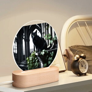 ȃN[|  @̍L ? SVbN}WbN(ی^ANX^hLEDCgt) ی^ANX^hLEDCgt jZbNX ANZT[  leojiro24 