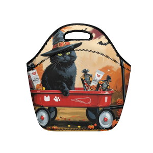 ȃN[|  ԂJ[gɃnEBXibNRς݂ȖXL `obO jZbNX obO  L nEB Mtg 蕨 ig leojiro24 