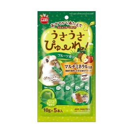 （まとめ） うさうさぴゅーれ フルーツ青汁 10g×5本 【×5セット】 ウサギ用フード【代引不可】