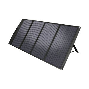 �A�T�K�I200W�܏􎮃|�[�^�u���\�[���[�p�l�� ASSP200-JP 1��