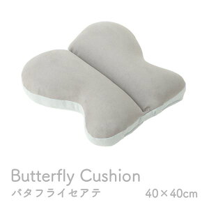�N�b�V���� ���� ���傤 �o�^�t���C �p�X�e�� �O���[ ��40×40cm�y����s�z