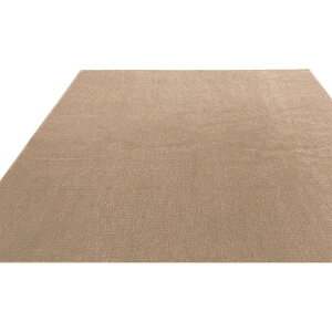 �t���[�J�b�g���ł��� �R�� �h�L �h���J�[�y�b�g �O�~ / �]�ˊ� 4.5�� 261×261cm �A�C�{���[ / �􂦂� ���{�� �w�E�F���o�x