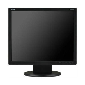 NEC 17�^�t���f�B�X�v���C �� LCD-AS173M-BK 1��