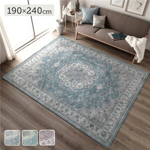 ���O�}�b�g �O�~ ��190×240cm �u���[�A�b�V�� �􂦂� �h�����H �z�b�g�J�[�y�b�g�Ή� �y�� �]�ʃv�����g���O ���r���O �����z���y����s�z