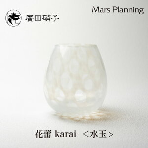 ̓ AcɎq Q  kara-5 吳Q  300ml  ^u[ EBXL[ {  Β  ʎ Ď Q j Mtg { AcɎq Hirota Glass hV̓ j 