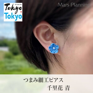 ܂ݍ׍HsAXE痢ԁ@ Tokyo Tokyouh ݂₰ X~\E`[tEƔ̉ȘaANZT[Ev[g