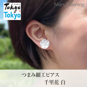 ܂ݍ׍HsAXE痢  Tokyo Tokyouh ݂₰ X~\E`[tEƔ̉ȘaANZT[Ev[g