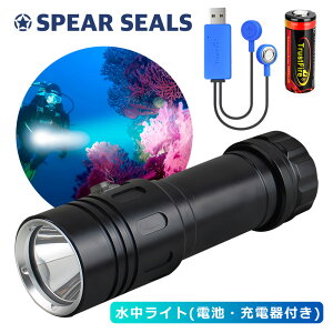 syV1ʁt SPEAR SEALS Cg 1200[ h 100m | _CrOCg nhCg   Cg d XsAtBbVO _CrO ނ ˂  ˂    f