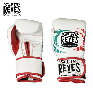 yyV2Bz REYES  CWFX {NVOO[u { {v xN 8IX 10IX | {NVO O[u oe[W ThobN iZ Y fB[X LbY q