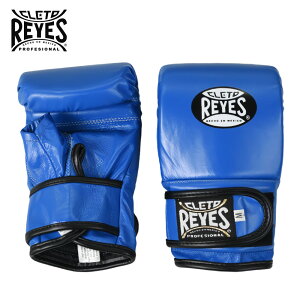 syV1ʁt REYES  CWFX {NVOO[u obNł xN p`OO[u {v S ` XLTCY | {NVO O[u oe[W ThobN iZ Y fB