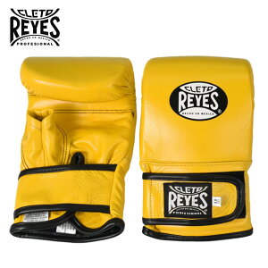 syV1ʁt REYES  CWFX {NVOO[u obNł xN p`OO[u {v S ` XLTCY | {NVO O[u oe[W ThobN iZ Y fB