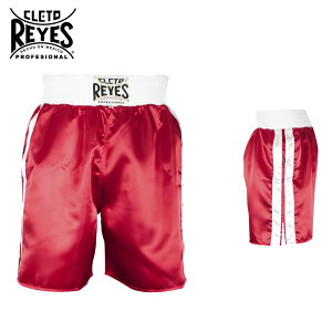 REYES CWFX {NVO gNX  Te n | {NVOpc pc EFA LbN{NVO iZ g[jO K Y fB[X Mtg v[g ގ 