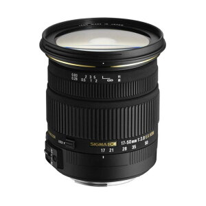 Proenza Schouler PS1 Continental Wallet