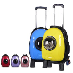 yz ybg L[obO bN L[  L | L[bN L[P[X FD JvZ^ ybgpL[bN obO Lp ybgpobO lR C