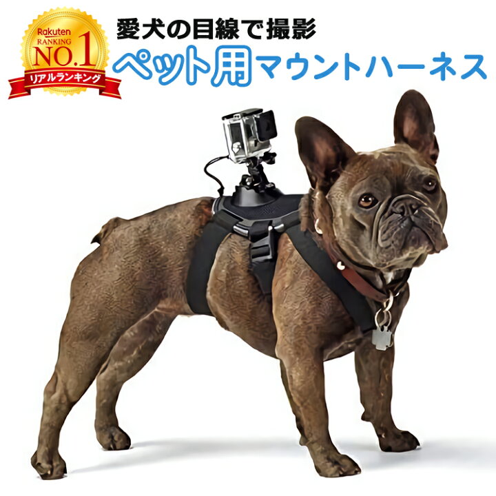 楽天市場 1日 全品p5倍 楽天1位獲得 Gopro ゴープロ 装着可能 ペット用 マウント ハーネス ごーぷろ アクセサリー Goprohero 調節 チェスト ストラップ カメラ キット 猫 犬 ゴープロヒーロー Sjcam 散歩 海 川 河 ハイキング 旅行 サーフィン カメラ ペット