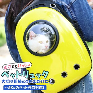 yz ybg L[obO bNL[ FD JvZ^ ybgpL[bN bN ybgobO Lp ybgpobO lR Ck ybgpi o y