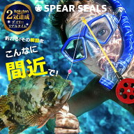 《マラソン 5%OFFクーポン》 SPEAR SEALS 泳ぎ釣り 釣り竿 ダブル 52cm | 水中 シュノーケル セット 子供…