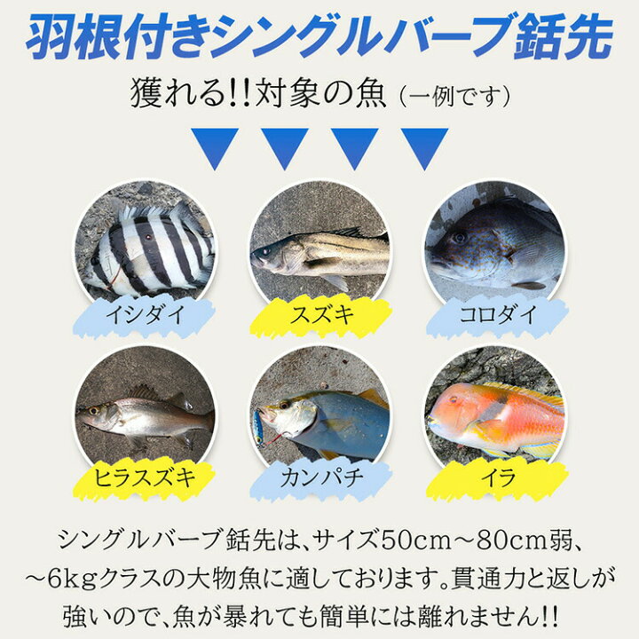 楽天市場】Ultimate Dive 銛 セット シングル 銛先 カーボンファイバー 