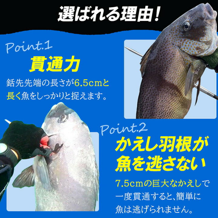 楽天市場】Ultimate Dive 銛 セット シングル 銛先 カーボンファイバー 