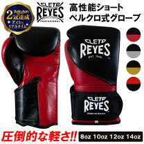 楽天市場】レイジェス ヘッドギアの通販