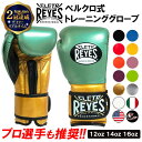 【楽天2冠達成】REYES 公式 レイジェス ボクシンググローブ 本革 ベルクロ式 12オンス 14オンス 16オンス | ボクシン…