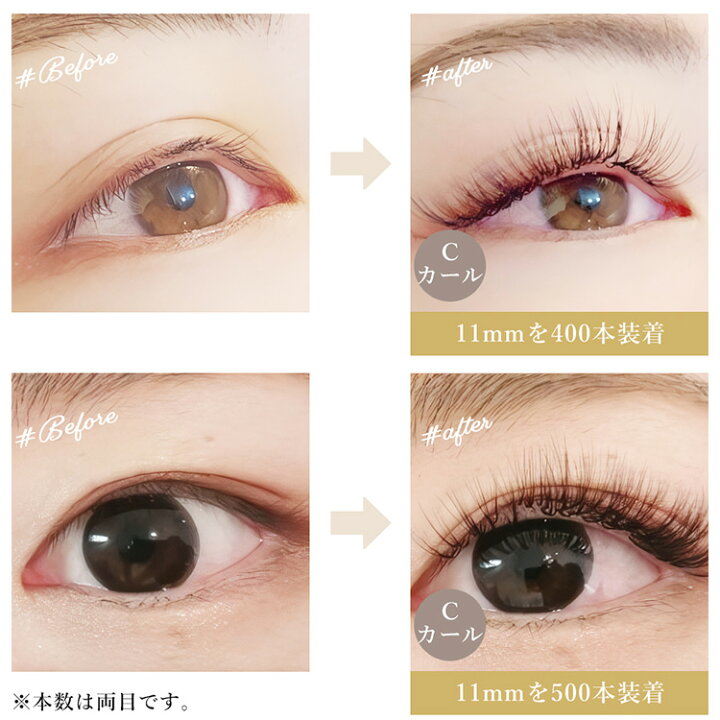 楽天市場】＼2000円 ポッキリ 送料無料／ Lash Collection まつげ 