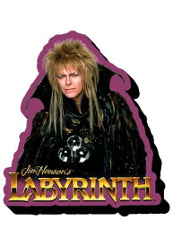 《30日 全品5%OFFクーポン》Labyrinth Jareth Funky Chunky Magnet クリスマス ハロウィン コスプレ 衣装 仮装 小道具 おもしろい イベント パーティ ハロウィーン 学芸会 学園祭 学芸会 ショー お遊戯会 二次会 忘年会 新年会 歓迎会 送迎会 出し物 余興 誕生日 発表会