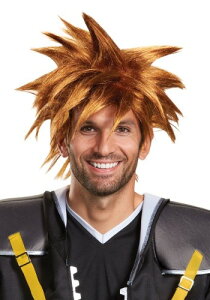 Kingdom Hearts LO_n[c ObY lp Sora \ EBbO | Jc  Y ~fBA  O nEB RXv RX`[ ߑ   낢 Cxg p[