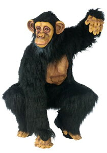 lp Chimpanzee RX`[ NX}X nEB Y RXv ߑ j  jp Cxg p[eB nEB[ w| w w| V[ VY 񎟉 YN VN 